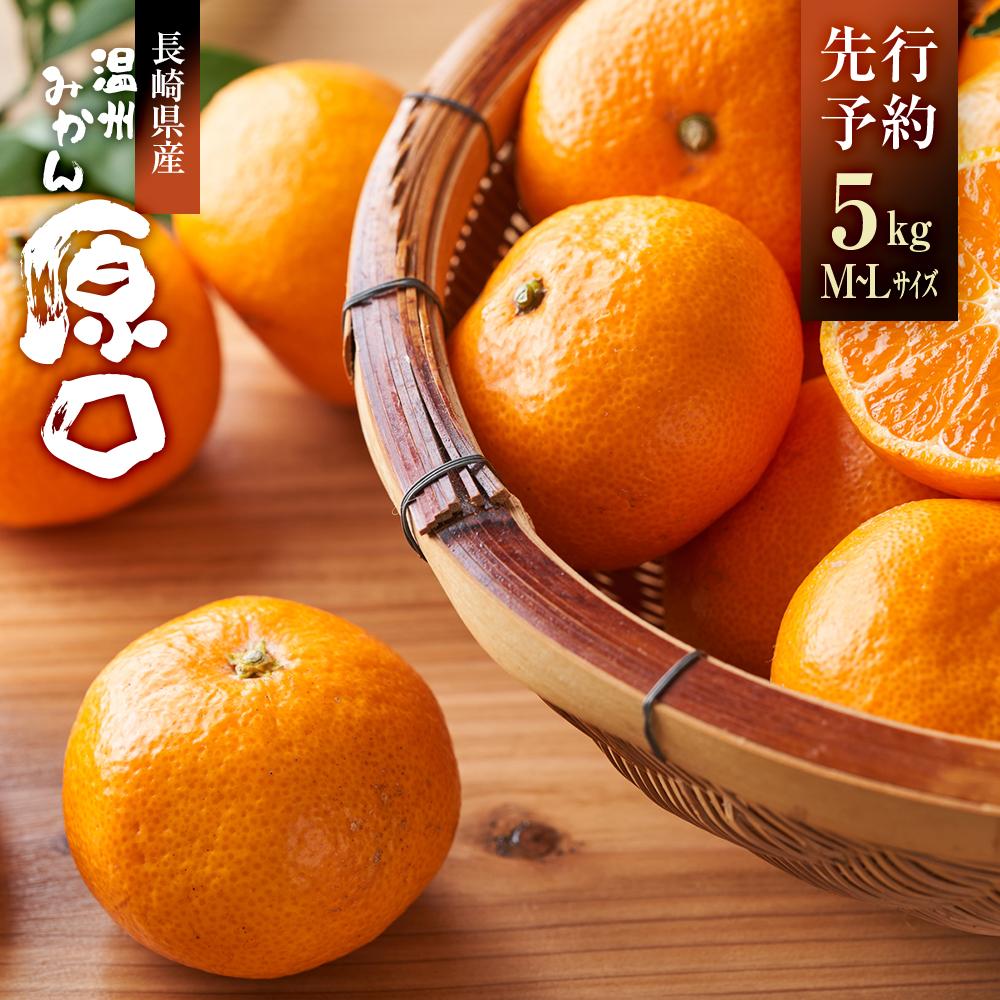 長崎県産 温州みかん「原口」M〜Lサイズ 5kg長崎県11000果物・フルーツみかん・柑橘類