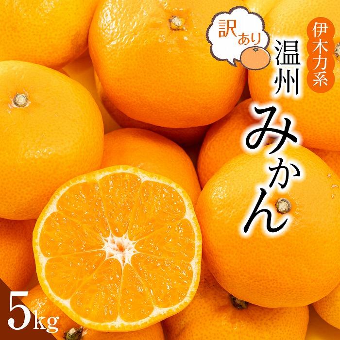 訳あり 伊木力系温州みかん 5Kg(ご自宅用)長崎県10000果物・フルーツみかん・柑橘類