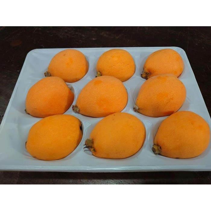 <先行予約><長崎特産!農家直送>露地びわ「なつたより」3L(約65g〜80g)×9玉入り長崎県15000果物・フルーツその他 果物・フルーツ