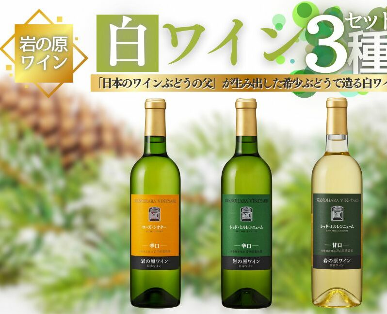 ワイン 岩の原ワイン 希少ぶどう品種 白 3本 セット お酒 おすすめ 岩の原 ふるさと納税 酒 新潟 上越新潟県上越市47000酒・アルコールワイン