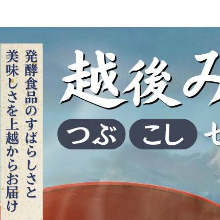 味噌 新潟の名工が醸す越後みそ (あおき印 粒・こし 各900g袋 セット) みそ 味噌汁新潟県上越市7000調味料・油味噌
