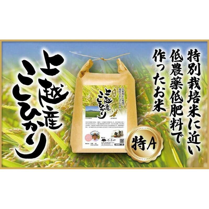 米 上越産 こしひかり 5kg お米 コメ おこめ コシヒカリ 新潟 新潟県産 にいがた 上越新潟県上越市20000米・パン白米