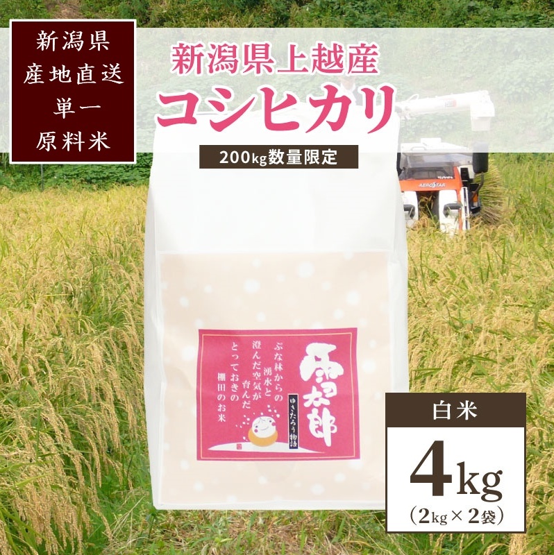 米 200kg数量限定 令和5年/新潟上越産「標高480mの山間地で育てた棚田米コシヒカリ」精米4kg コシヒカリ新潟県上越市10000米・パン白米