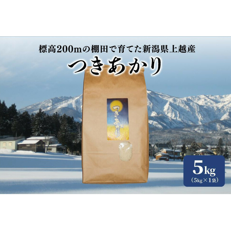 米 お米 標高200mで育てた棚田米 令和5年産 早生品種つきあかり精米5kg こめ 新潟県産 上越 上越産新潟県上越市10000米・パン白米