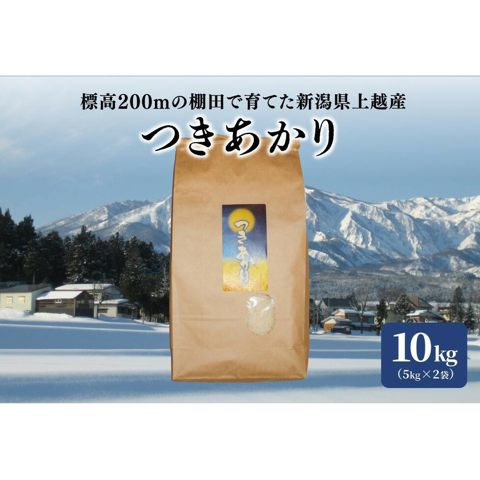 米 お米 標高200mで育てた棚田米 令和5年産 早生品種つきあかり精米10kg 5kg×2袋 新潟県産 上越 上越産新潟県上越市19000米・パン白米