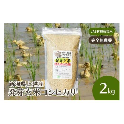   ߘa6NEVY JASL@͔|ACK_@ RVqJ 茺 2kg Ђ  V zVzs17000āEp