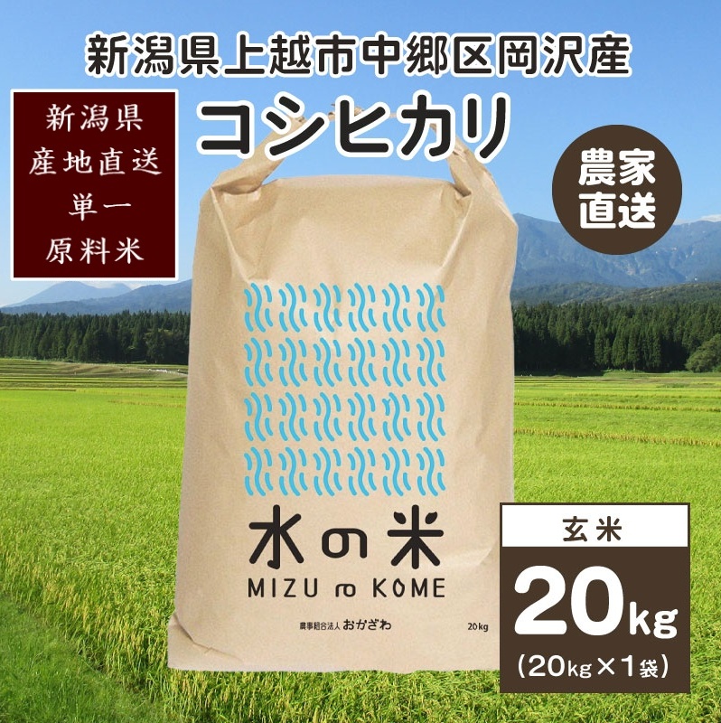   SRސ̕ RVqJ 20kg 1 ߘa5NY zs扪Y _ƒ  VVzs39000āEpāEGāEāE