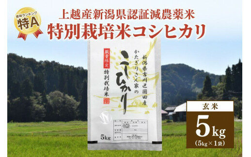 250kg聚ߘa6NYEVzsg捑cYEF،_ā^ʍ͔|ăRVqJ5kgVzs14000āEpāEGāEāE