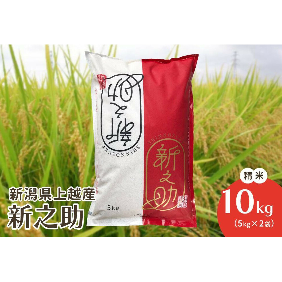 米 お米 令和6年 新潟県上越産 新潟ブランド米 新之助 精米10kg 5kg×2袋 こめ 認証米 特別栽培 新潟県産新潟県上越市41000米・パン白米