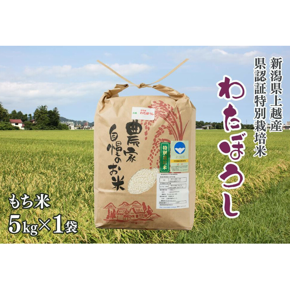 令和6年産/上越産 新潟県奨励品種「新潟県認証特別栽培米・もち米/わたぼうし」精米 5kg ワタボウシ 新潟新潟県上越市14000米・パン白米