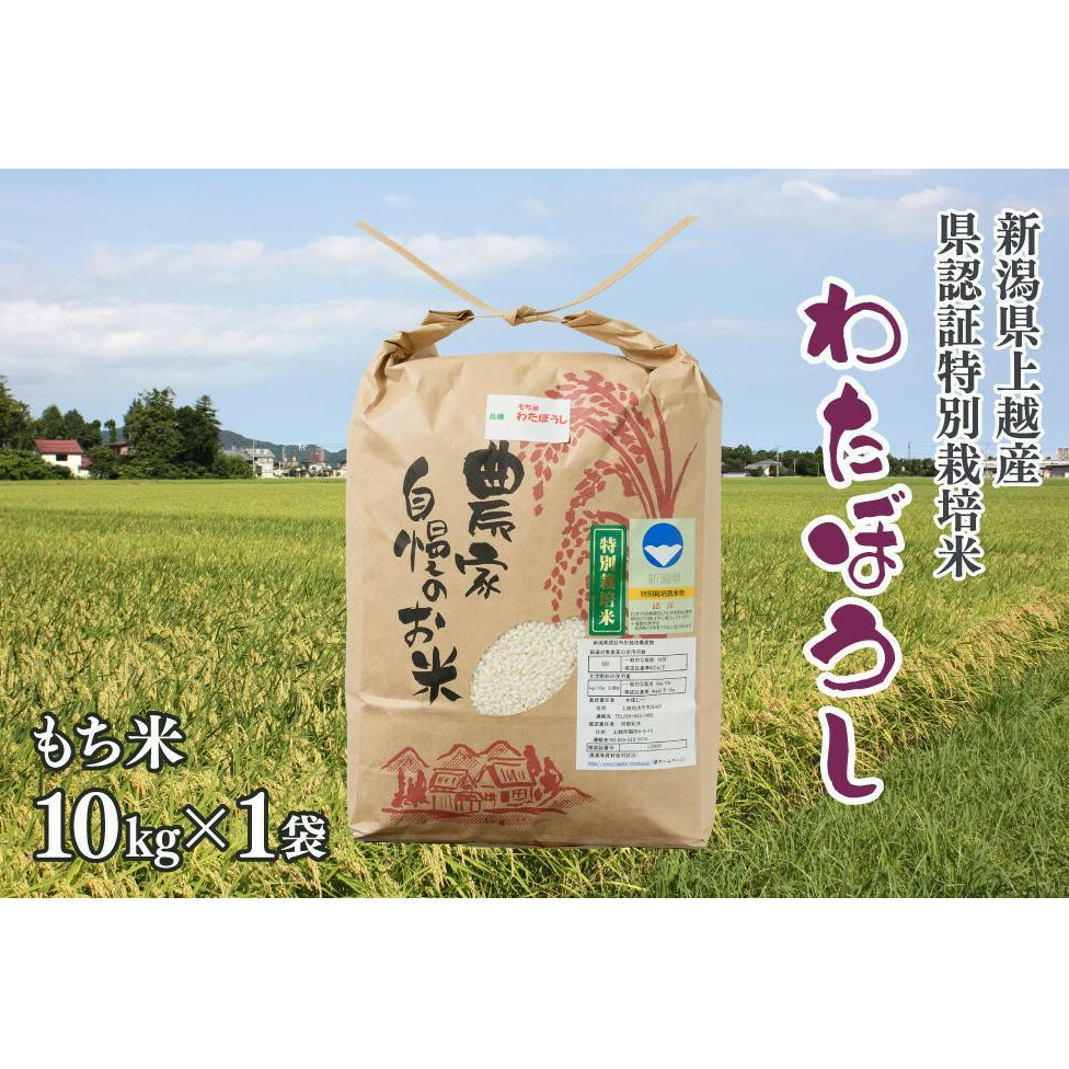 令和6年産/上越産 新潟県奨励品種「新潟県認証特別栽培米・もち米/わたぼうし」精米 10kg 特別栽培 新潟新潟県上越市25000米・パン白米