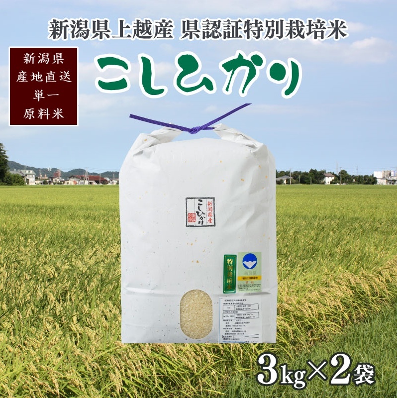令和6年産/新潟県上越産 人気のお米「新潟県認証特別栽培米コシヒカリ」精米 6kg(3kg×2袋) こしひかり新潟県上越市17000米・パン白米