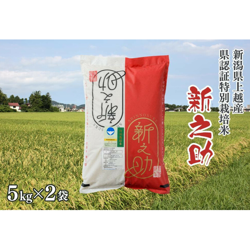 ߘa6NY^VzYuhāuVFؓʍ͔|āEVVv 10kgi5kg×2܁j ̂Vzs31000āEp