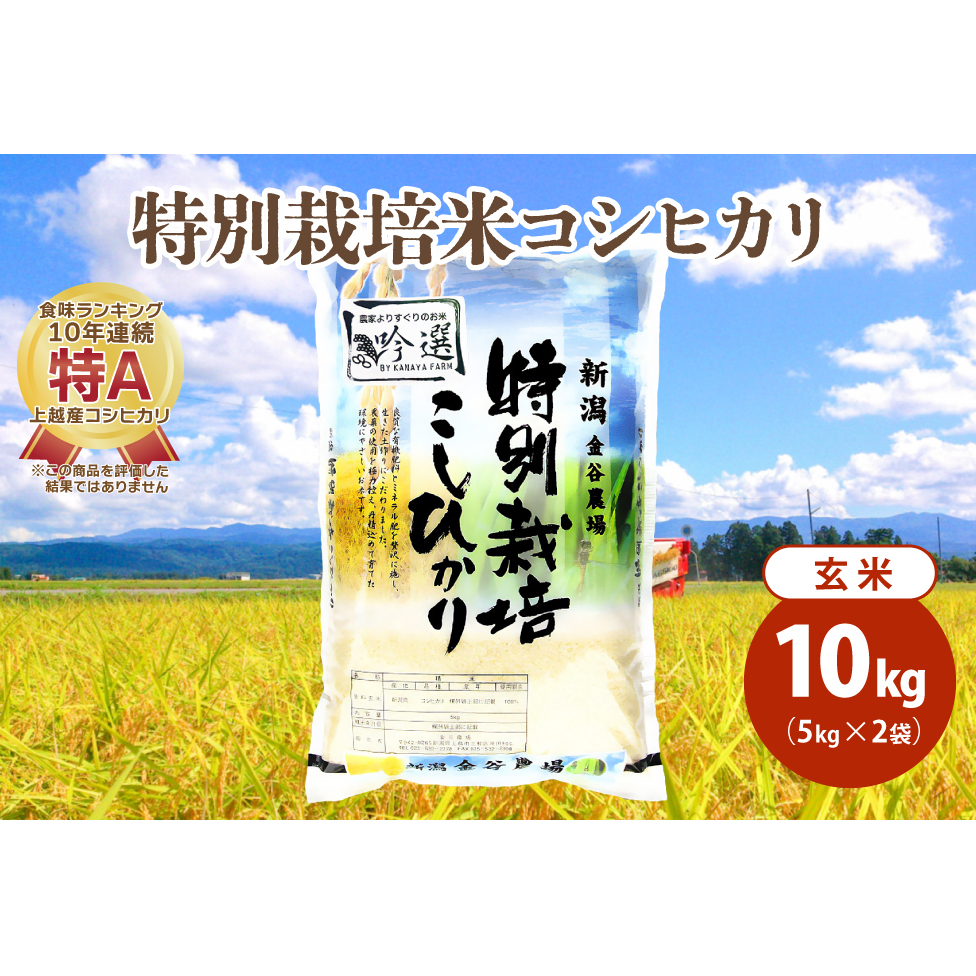 米 令和5年産|新潟上越三和産|特別栽培米コシヒカリ(従来種)10kg(5kg×2)玄米 お米 こめ こしひかり 上越新潟県上越市28000米・パン玄米・雑穀米・もち米・餅