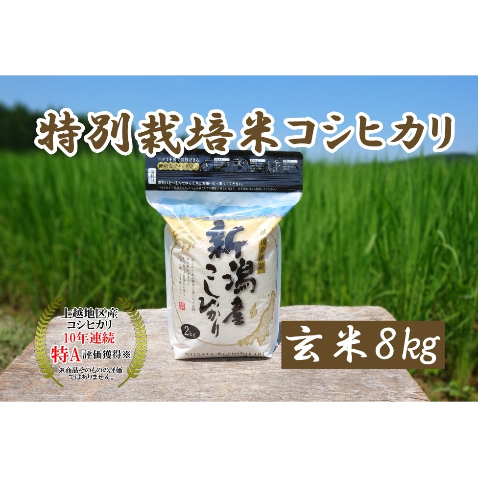 米 令和5年産 新潟上越三和産 特別栽培米コシヒカリ8kg 玄米 こしひかり コシヒカリ お米 こめ 新潟 新潟産新潟県上越市24000米・パン玄米・雑穀米・もち米・餅