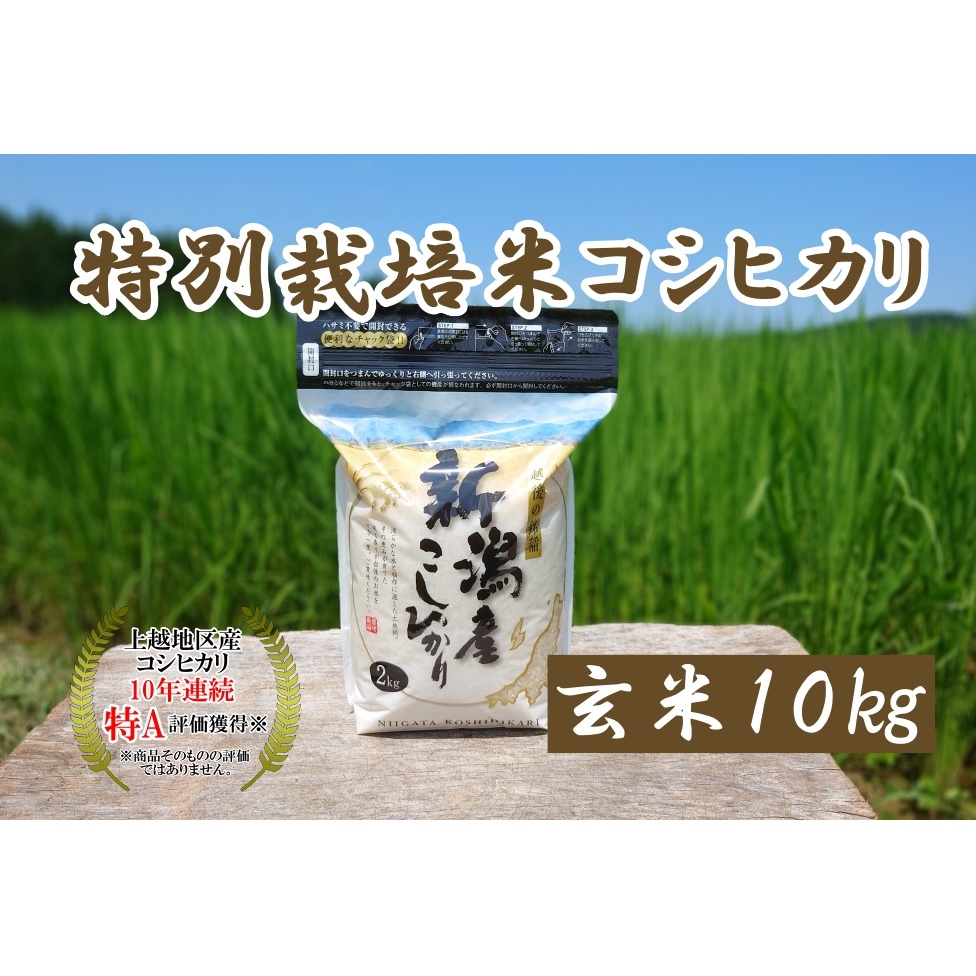 米 令和5年産 新潟上越三和産 特別栽培米コシヒカリ10kg 玄米 こしひかり コシヒカリ お米 新潟 新潟産新潟県上越市29000米・パン玄米・雑穀米・もち米・餅