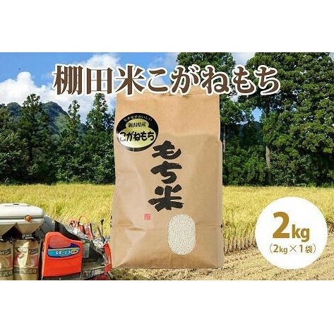 ɏʕ:ʌߘa5NY/Vzs哇YIcĂ˂ 2kg(2kg×1)   ߐVzs9000āEp