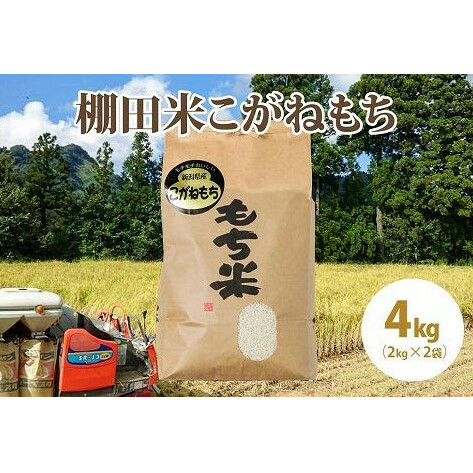 極少量米:数量限定令和5年産精米/新潟県上越市大島区産棚田米こがねもち 4kg(2kg×2)もち米 もち 米 こめ新潟県上越市15000米・パン白米