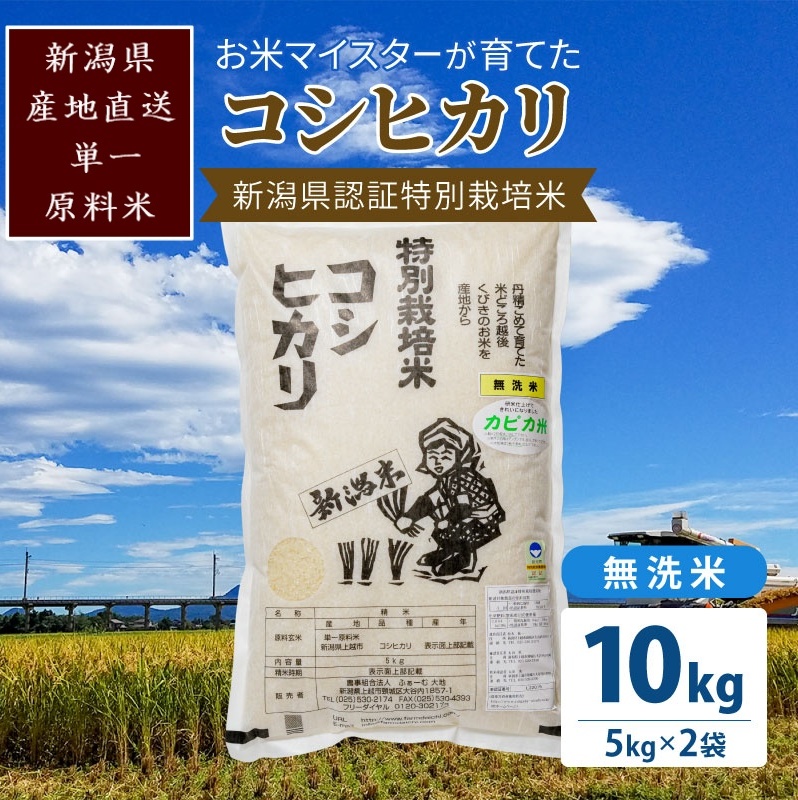米 お米マイスターが育てた特別栽培米 精米コシヒカリ 上越産 令和5年産 10kg(5kgx2袋)無洗米 こしひかり新潟県上越市33000米・パン無洗米