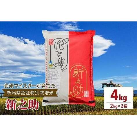 令和5年産お米マイスターが育てた新潟県認証特別栽培米「新之助」上越頸城産 4kg(2kg×2) お米 こめ上越新潟県上越市14000米・パン白米