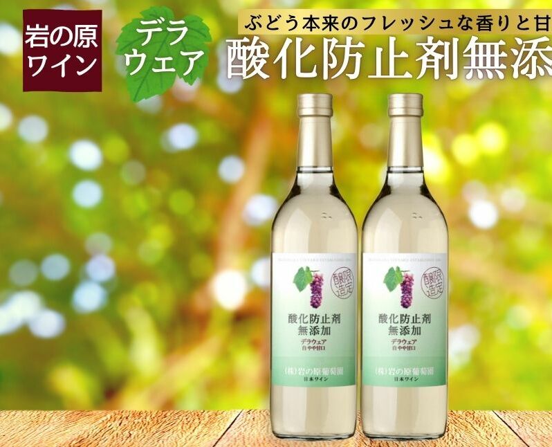 ワイン 岩の原ワイン 酸化防止剤無添加 白 やや甘口 2本セット 新潟 上越 甘口 11% 酒 アルコール ギフト新潟県上越市12000酒・アルコールワイン