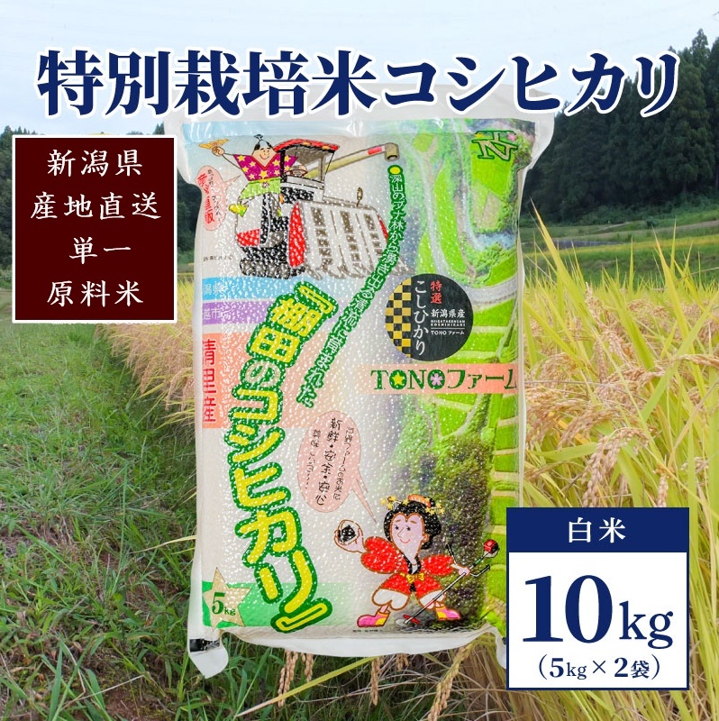 y50Zbgzߘa6NY VzY ʍ͔|ăRVqJ10kg(5kg×2)ĐVzs26000āEp