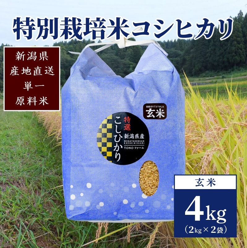 【50セット限定】令和6年産 新潟上越清里産 特別栽培米コシヒカリ4kg(2kg×2袋)玄米新潟県上越市11000米・パン玄米・雑穀米・もち米・餅