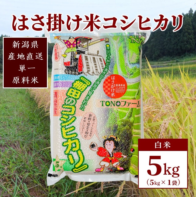 yʌzߘa5NY VzY ͂|ăRVqJ5kg(5kg×1) Ђ RVqJ ĐVzs18000āEp