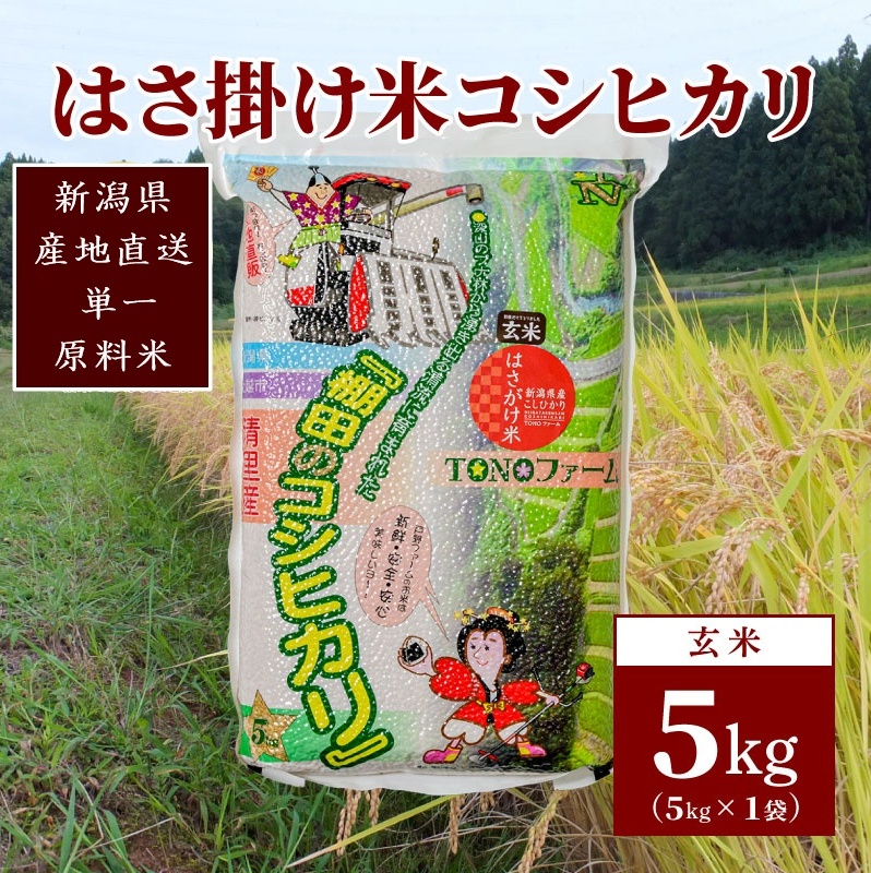 【数量限定】令和5年産 新潟上越清里産 はさ掛け米コシヒカリ(5kgx1袋)玄米 こしひかり コシヒカリ 米新潟県上越市18000米・パン玄米・雑穀米・もち米・餅