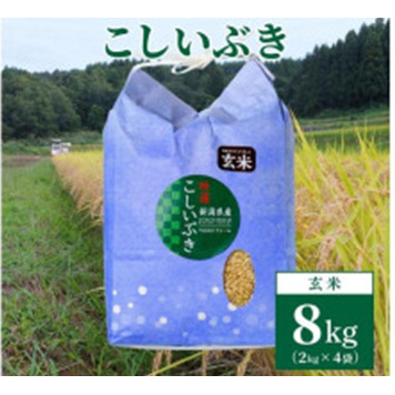 【数量限定】令和6年産|新潟上越清里東戸野産|新潟県限定品種こしいぶき8kg(2kg×4袋)玄米新潟県上越市18000米・パン玄米・雑穀米・もち米・餅