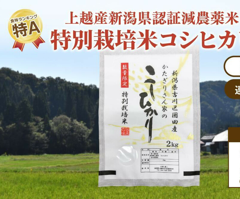 定期便 6ヶ月 新潟県認証減農薬米 特別栽培米 コシヒカリ 精米 2kg 米 お米 こめ こしひかり 新潟 上越新潟県上越市35000米・パン白米