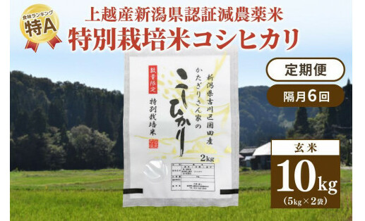 u6  VF،_ ʍ͔| RVqJ  10kg (5kg×2)    ЂVzs167000āEpāEGāEāE