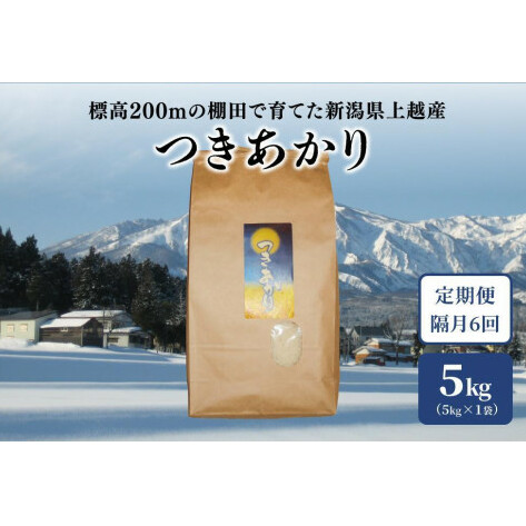 定期便 6回 隔月【2ヵ月毎】標高200mで育てた棚田米 新潟上越中郷産・早生品種 つきあかり 精米 5kg 新潟新潟県上越市56000米・パン白米