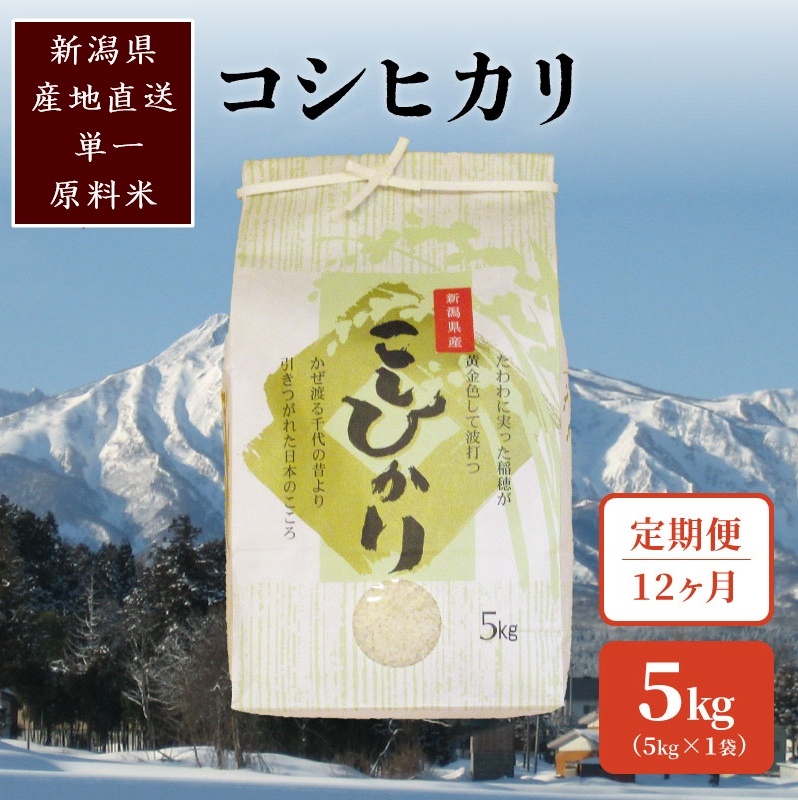 定期便 12回 【毎月定期便】標高200mで育てた棚田米 新潟県上越市中郷産・従来種 コシヒカリ 精米 5kg新潟県上越市153000米・パン白米
