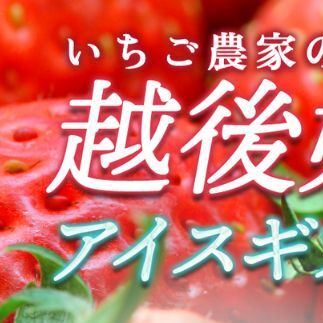 アイス 越後姫アイスギフト 12個 セット 越後姫 アイスクリーム ギフト 詰め合わせ 冷凍 新潟新潟県上越市39000果物・フルーツいちご