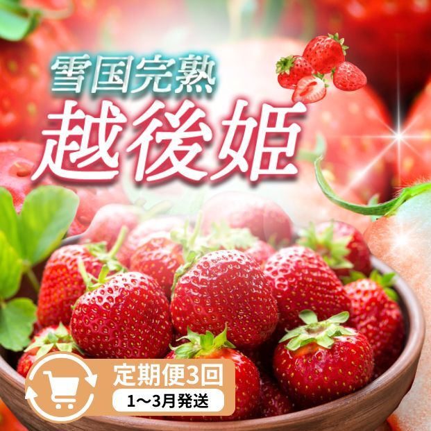 定期便 3回【1〜3月発送】雪国完熟いちご越後姫 170g×2全3回 定期配送 越後姫 いちご 定期便 完熟 苺 新潟新潟県上越市35000果物・フルーツいちご