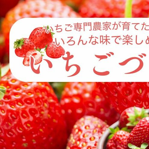 定期便 12回【1〜12月発送】いちごづくし定期配送 苺 いちご 冷凍いちご いちごアイス シャーベット ジャム新潟県上越市260000果物・フルーツいちご