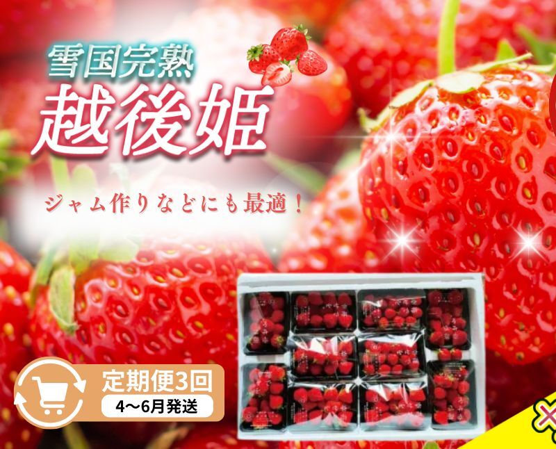 定期便 3回【4〜6月発送】訳あり越後姫 約200g×10定期配送 越後姫 えちごひめ 苺 いちご 訳あり 新潟新潟県上越市116000果物・フルーツいちご