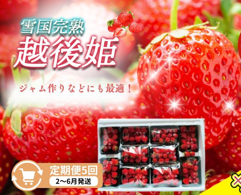 定期便 5回【2〜6月発送】訳あり越後姫 約200g×10定期配送 越後姫 えちごひめ 苺 いちご 訳あり 新潟新潟県上越市193000果物・フルーツいちご
