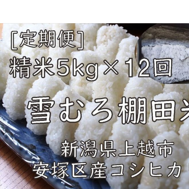 令和7年 新潟県産 棚田米 コシヒカリ 精白米 定期便 60kg 60キロ (5kg×12回) 雪中貯蔵 雪むろ こしひかり 精米 お米 こめ 新潟 上越 米 新潟県上越市216000米・パン白米