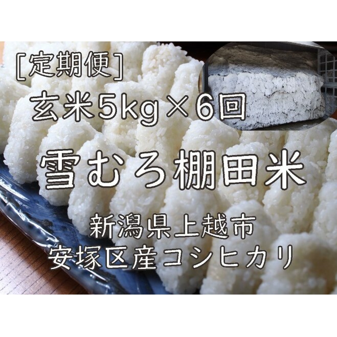 ߘa7N VY Ic RVqJ   30kg 30L (5kg×6) ᒆ ނ Ђ   V z  Vzs102000āEp