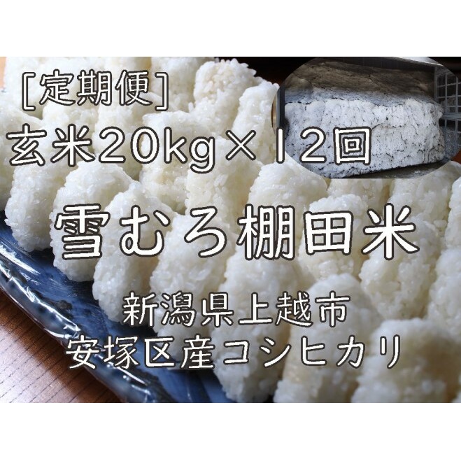 令和7年 新潟県産 棚田米 コシヒカリ 玄米 定期便 240kg 240キロ (20kg×12回) 雪中貯蔵 雪むろ こしひかり お米 こめ 新潟 上越 米 新潟県上越市780000米・パン白米