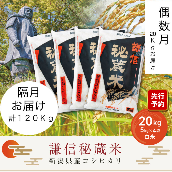 【先行予約|10月上旬より順次出荷】定期便月偶数月発送(20kg×6回分)20kg 米 新潟県産 コシヒカリ  精白米 謙信秘蔵米  お米  こめ コメ 新潟県上越市357000米・パン白米