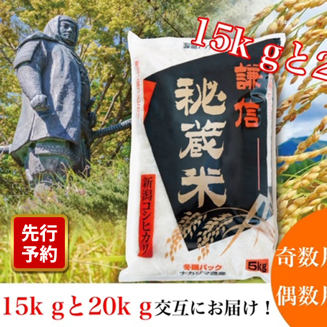 【先行予約|10月上旬より順次出荷】定期便 12回 月替わり発送(奇数月15kg偶数月20kg)(全12回)  15kg 20kg 米 新潟県産 コシヒカリ  精白米 謙信秘蔵米  お米  こめ コメ おこめ おすすめ こしひかり