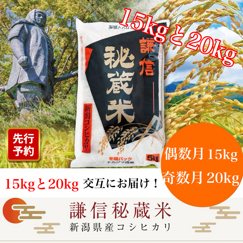 【先行予約|10月上旬より順次出荷】定期便 12回 月替わり発送(偶数月15kg奇数月20kg)(全12回) 15kg 20kg 米 新潟県産 コシヒカリ  精白米 謙信秘蔵米  お米  こめ コメ おこめ おすすめ こしひかり