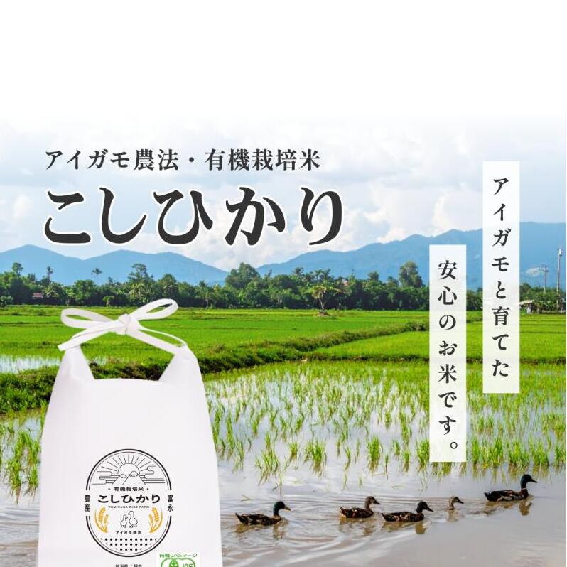 新米予約 令和7年 新潟県産コシヒカリ アイガモ農法 10kg 10キロ(5kg×2) JAS有機栽培米 上越市 三和区神田 富永農産  安全・安心こしひかり新潟県上越市50000米・パン白米