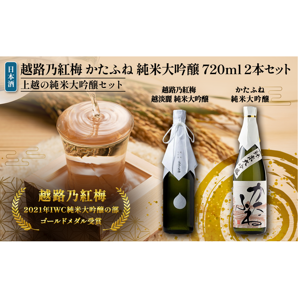 日本酒 越路乃紅梅 かたふね 純米大吟醸 720ml 2本 セット お酒 おすすめ 酒 ふるさと納税 新潟 新潟県産 にいがた 上越 上越産新潟県上越市39000酒・アルコール日本酒