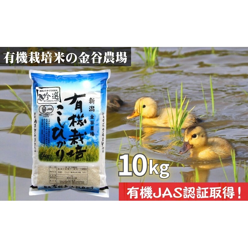 新潟県産JAS有機栽培米コシヒカリ 白米10kg|こしひかり コシヒカリ 米 お米 こめ おすすめ 人気 ふるさと納税 有機栽培 新潟 新潟県産 にいがた 上越 上越産新潟県上越市31000米・パン白米