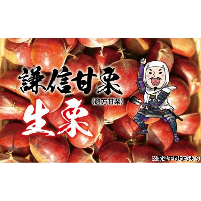 謙信甘栗の氷蔵熟成栗 3kg(1kg×3)【氷蔵熟成栗謙信甘栗】 新潟 新潟県産新潟県上越市32000果物・フルーツその他 果物・フルーツ