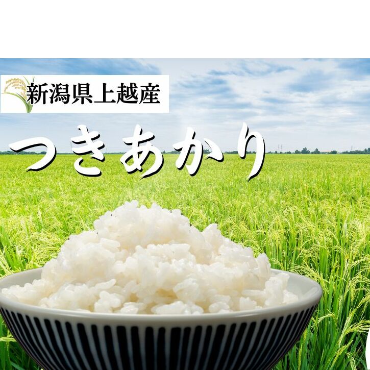 米 令和6年産 新潟県上越産「 つきあかり 」 白米 5kg ツキアカリ お米 こめ ふるさと納税 新潟 新潟県産新潟県上越市9000米・パン白米